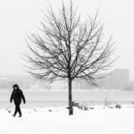 A lone figure walks beside a bare tree in Jönköping, Sweden, during a winter snowstorm.